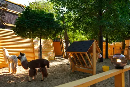 фото зоопарка