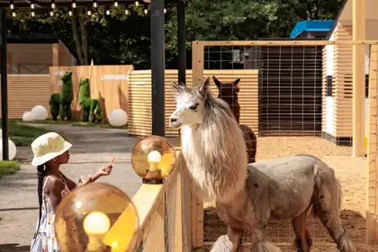 фото зоопарка