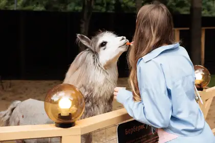 фото зоопарка