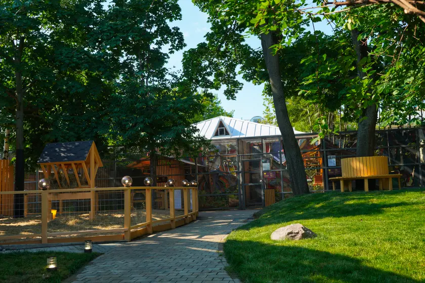 Alpaca Park | Альпака Парк в Московском зоопарке